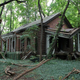 Illustration for article titled This Ghostly, Abandoned NYC Island Could Become a Special Needs School